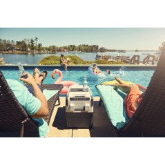 Dometic CoolFreeze CFX 35 - Premium Compressor Cool Box - 35L - Model 1224230V - Keep Your Food & Drinks Fresh Anywhere!